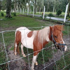 Meet your Posher, Damaris